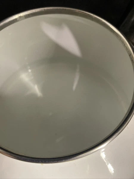 Whistle Teapot Kamenstein Dalmatian Dog Kettle Tea White 1980s Great Shape!