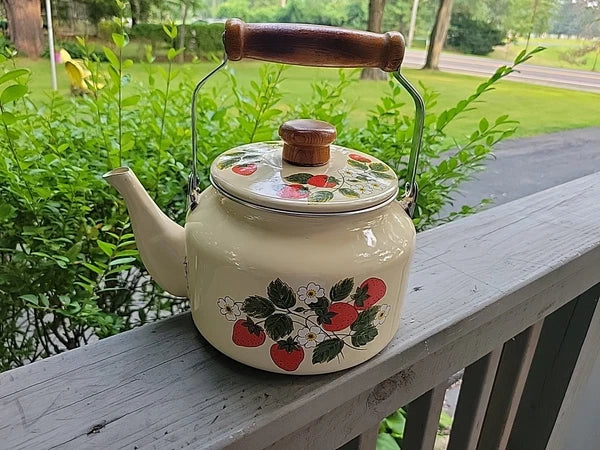 Vtg Japan Tea Pot Kettle w Wooden Handle & Top, FRAISE 1981 GAILSTYN-SUTTON