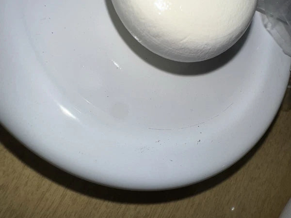 Vtg Martin Leman Cat Enamel Tea Kettle Pot Farmhouse Rustic Retro Bold Print