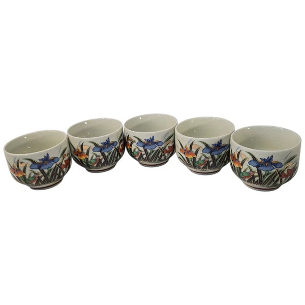 Vintage Japanese Kutani Tea Set Porcelain Teapot 5 Cups Bamboo Handle Iris