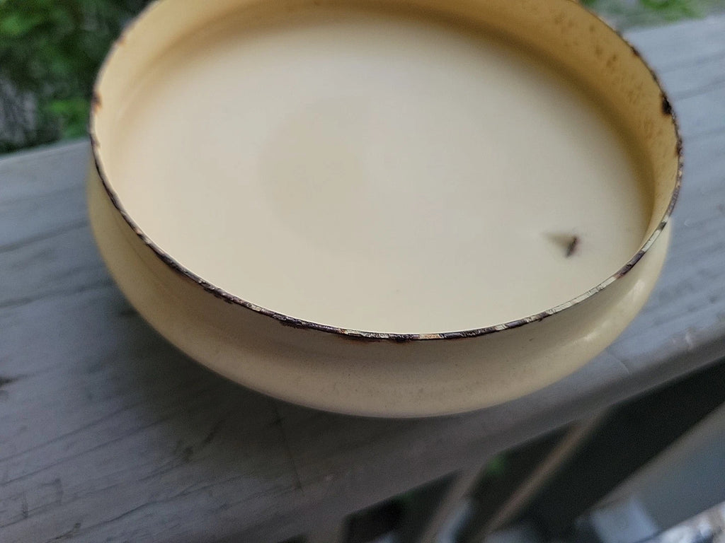 Vtg Japan Tea Pot Kettle w Wooden Handle & Top, FRAISE 1981 GAILSTYN-SUTTON