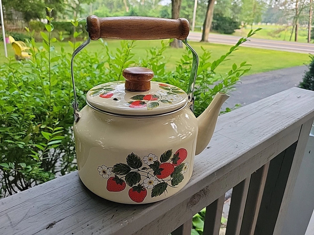 Vtg Japan Tea Pot Kettle w Wooden Handle & Top, FRAISE 1981 GAILSTYN-SUTTON