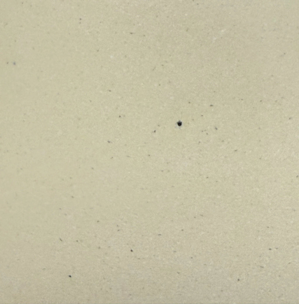 Vintage Pfaltzgraff Village Enamelware Whistling Tea Kettle MCM Tea Pot