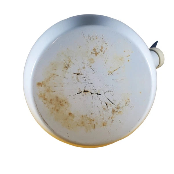 Vintage Teapot Ancona Hummingbird Tulips Kettle White w Red Green Blue Tea Pot