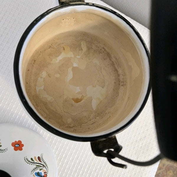 Vtg Enamelware Teapot Tea Kettle Pennsylvania Dutch Look Folk Art READ