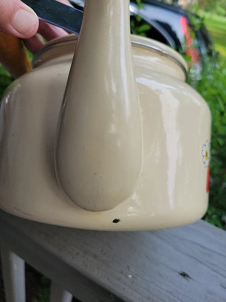 Vtg Japan Tea Pot Kettle w Wooden Handle & Top, FRAISE 1981 GAILSTYN-SUTTON